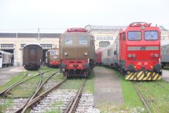 DSCF5405-1-1024x768