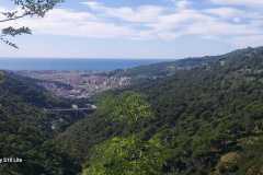 IMG-20240915-WA0017