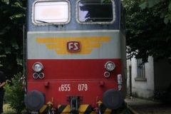 MG_7774-682x1024